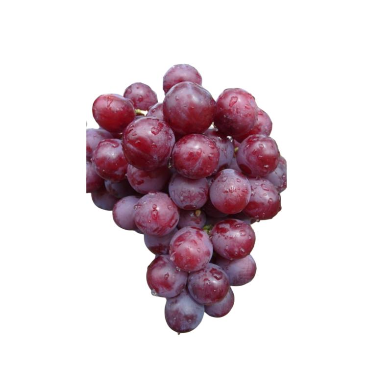 Виноград 